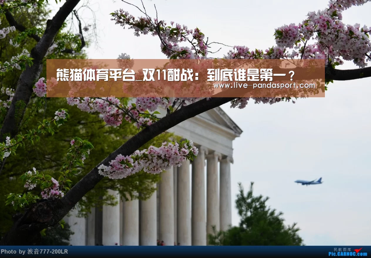 熊猫体育平台_双11酣战:到底谁是第一?(图2) 熊猫体育官网