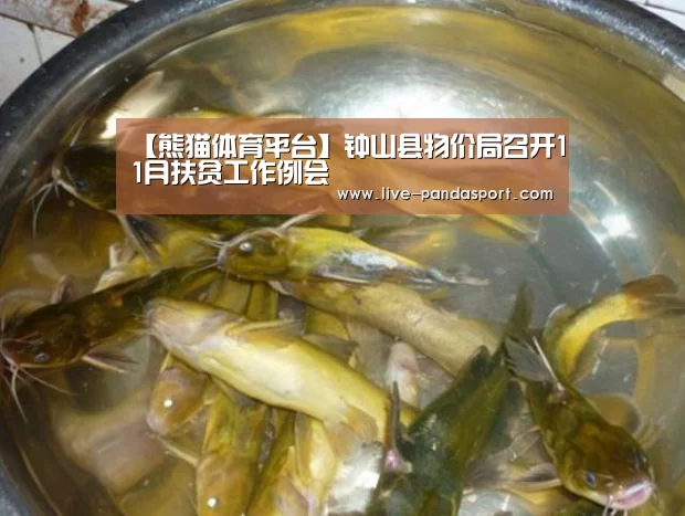 【熊猫体育平台】钟山县物价局召开11月扶贫工作例会(图3) 体育API