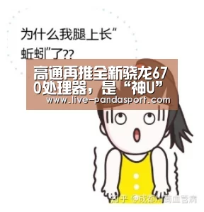 高通再推全新骁龙670处理器,是“神U”复活还是“低配版”骁龙710?【熊猫体育官网】(图1) 体育API