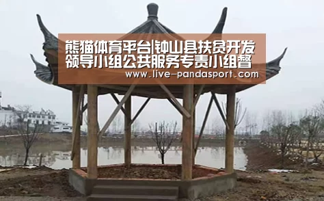 熊猫体育平台