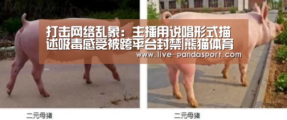 打击网络乱象:主播用说唱形式描述吸毒感受被跨平台封禁|熊猫体育官网(图2) 熊猫体育官网