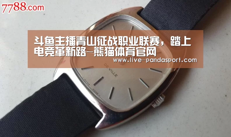 斗鱼主播青山征战职业联赛,踏上电竞革新路-熊猫体育官网(图1) 熊猫体育官网
