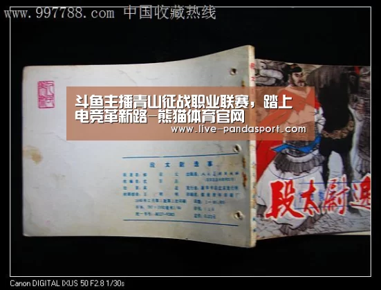 斗鱼主播青山征战职业联赛,踏上电竞革新路-熊猫体育官网(图2) 体育API