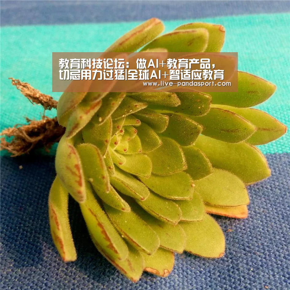 教育科技论坛:做AI+教育产品,切忌用力过猛|全球AI+智适应教育峰会-体育API(图1) 熊猫体育官网