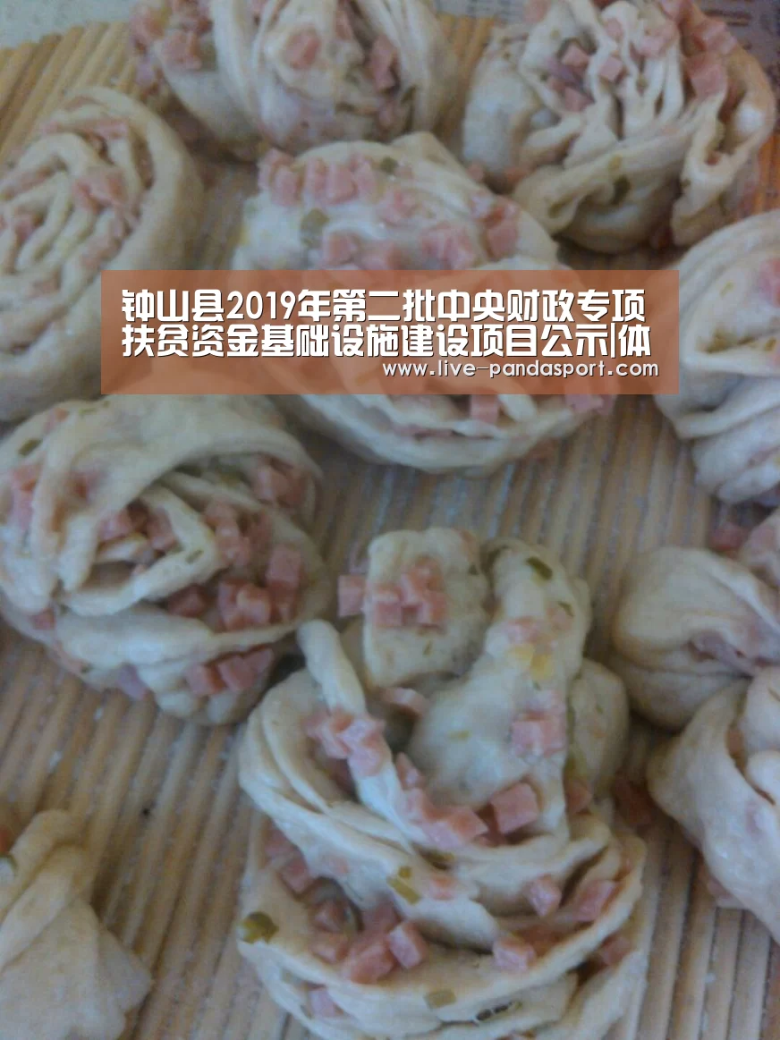 钟山县2019年第二批中央财政专项扶贫资金基础设施建设项目公示|体育API(图1) 熊猫体育