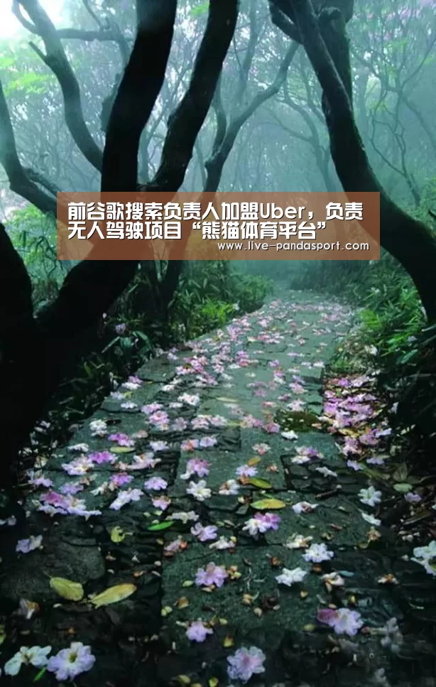 前谷歌搜索负责人加盟Uber,负责无人驾驶项目“熊猫体育平台”(图1) 熊猫体育