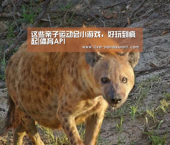 这些亲子运动会小游戏，好玩到疯起|体育A