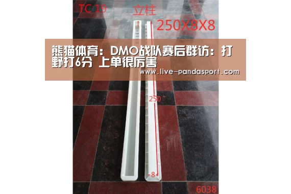 熊猫体育:DMO战队赛后群访:打野打6分 上单很厉害(图1) 体育API