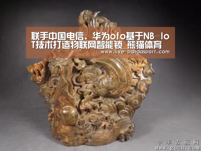联手中国电信、华为ofo基于NB-IoT技术打造物联网智能锁_熊猫体育(图3) 熊猫体育官网