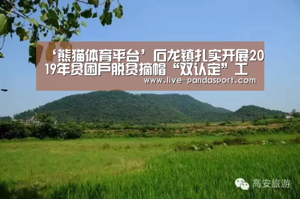 ‘熊猫体育平台’石龙镇扎实开展2019年贫困户脱贫摘帽“双认定”工作(图1) 熊猫体育