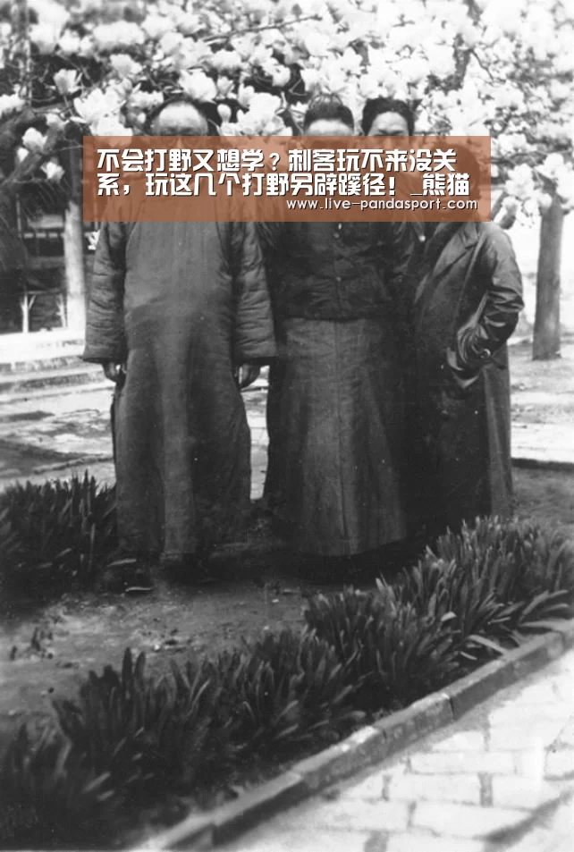 不会打野又想学?刺客玩不来没关系,玩这几个打野另辟蹊径!_熊猫体育官网(图1) 熊猫体育